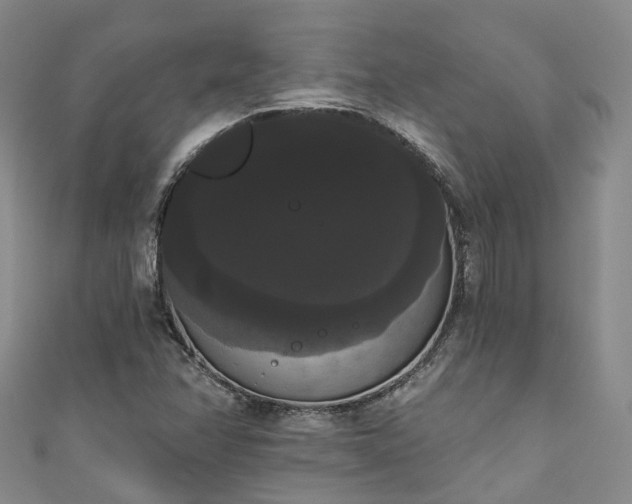 X0000111021358200906261532