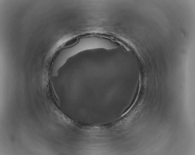 X0000111021359200906261532