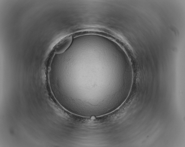 X0000111021360200906261532