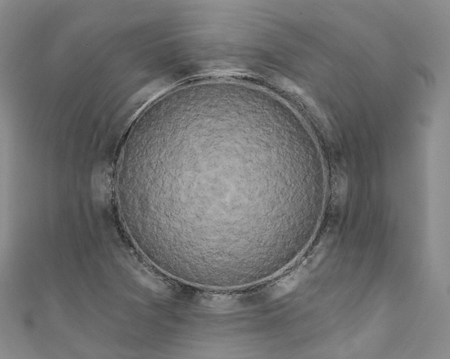 X0000111021361200906261532