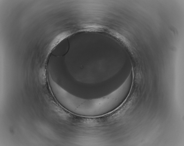X0000111021362200906261532