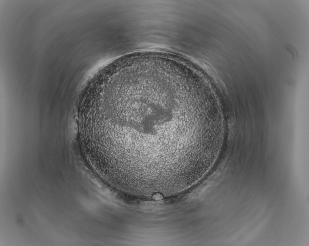 X0000111021363200906261532