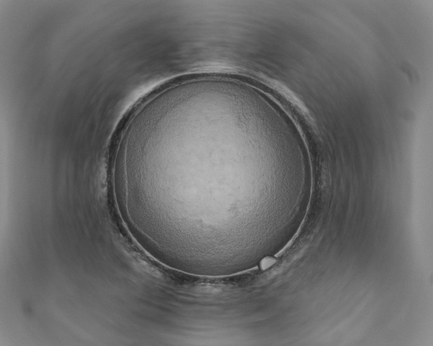 X0000111021364200906261532
