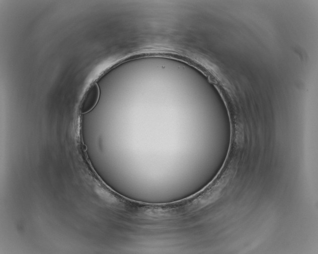 X0000111021366200906261532