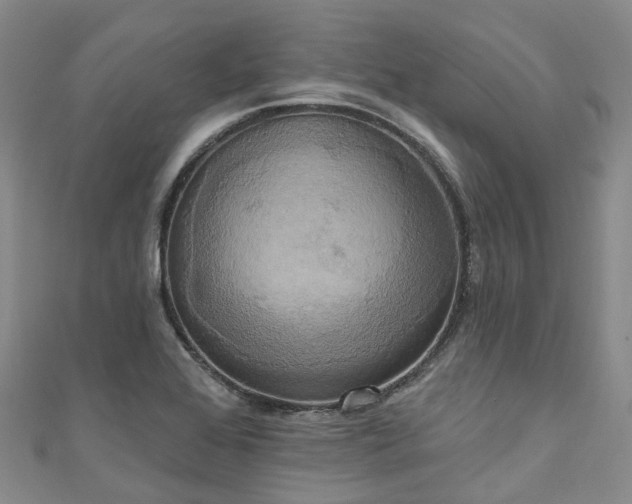 X0000111021368200906261532