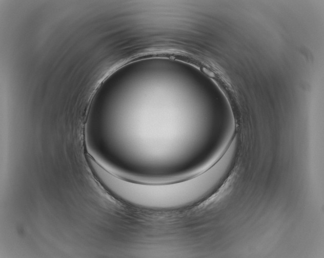X0000111021369200906261532