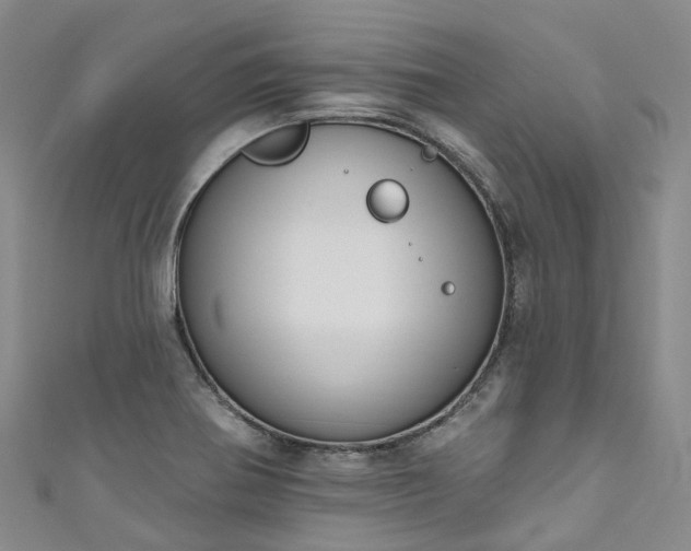 X0000111021370200906261532