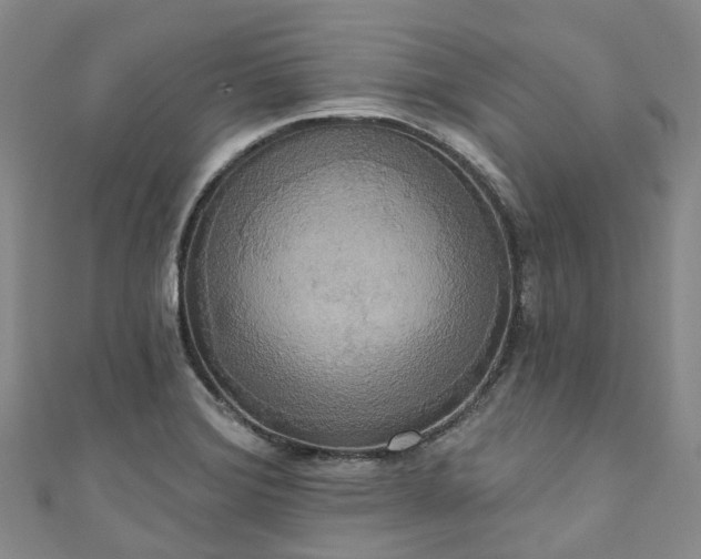 X0000111021372200906261532