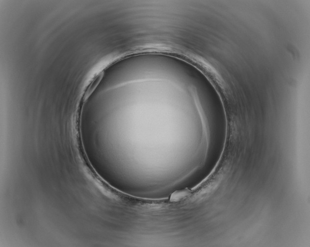 X0000111021373200906261532