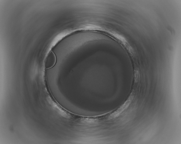 X0000111021374200906261532