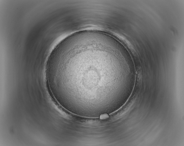 X0000111021375200906261532