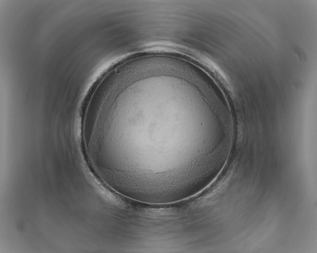 X0000111021376200906261532