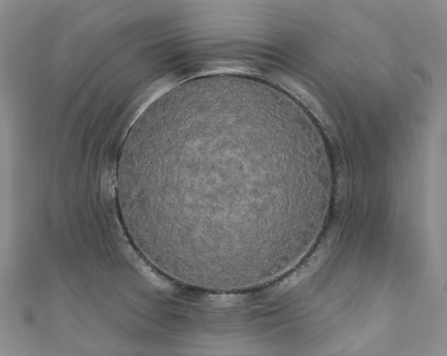 X0000111021377200906261532