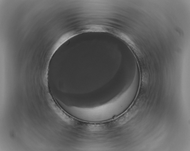 X0000111021378200906261532
