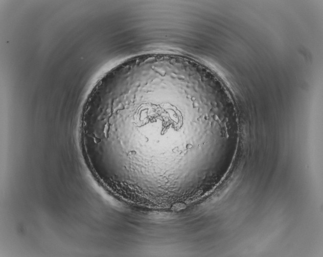 X0000111021379200906261532