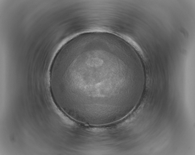 X0000111021380200906261532