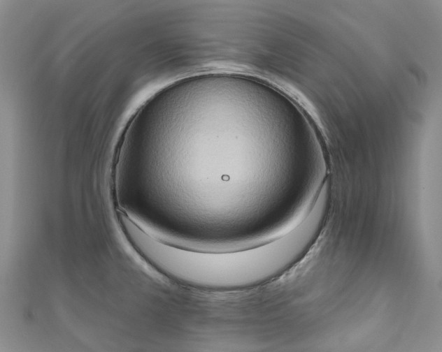 X0000111021381200906261532