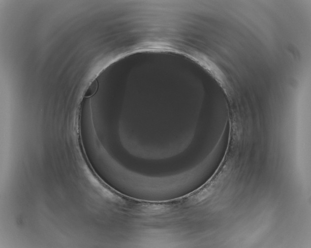 X0000111021382200906261532