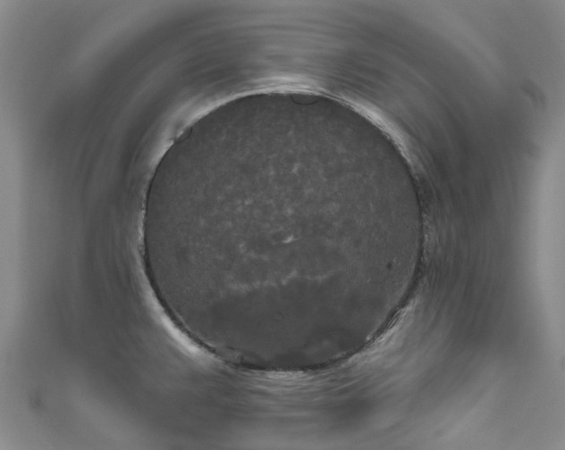 X0000111021383200906261532