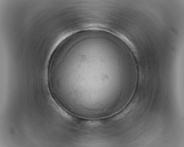 X0000111021384200906261532