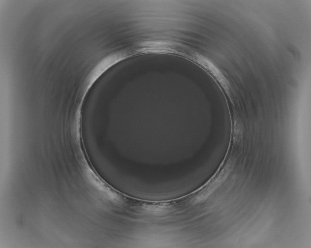X0000111021386200906261531