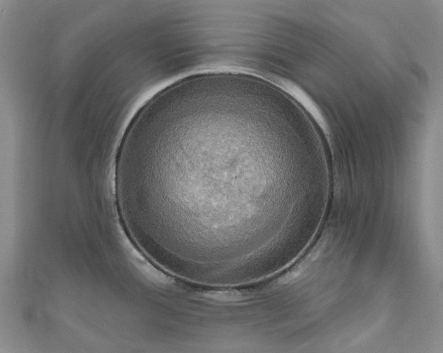 X0000111021388200906261531