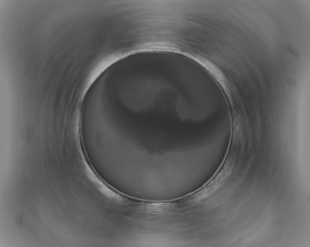 X0000111021390200906261531