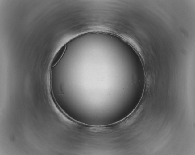 X0000111021391200906261531