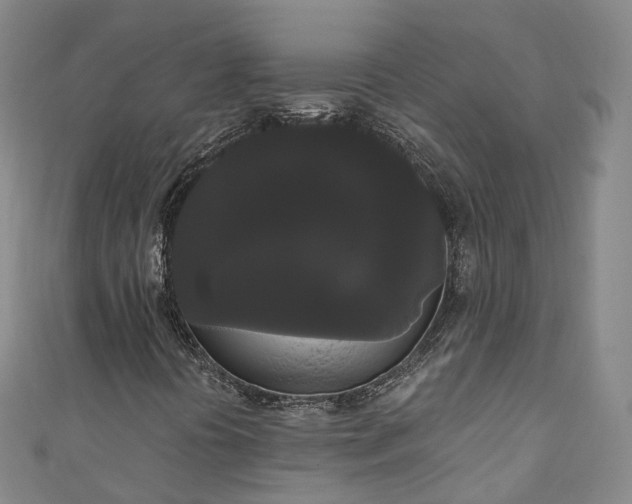 X0000111021394200906261531