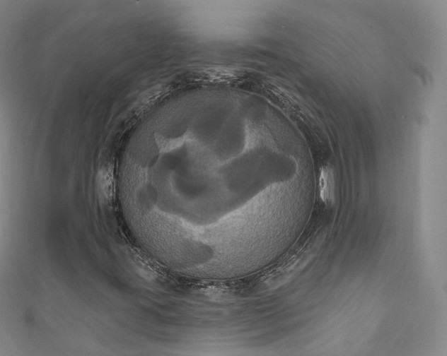 X0000111021395200906261531