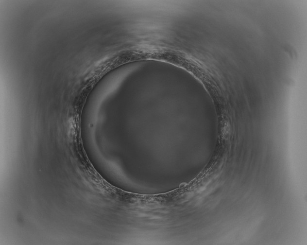 X0000111021397200906261531