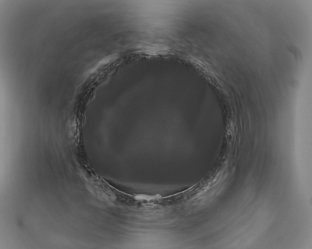 X0000111021398200906261531