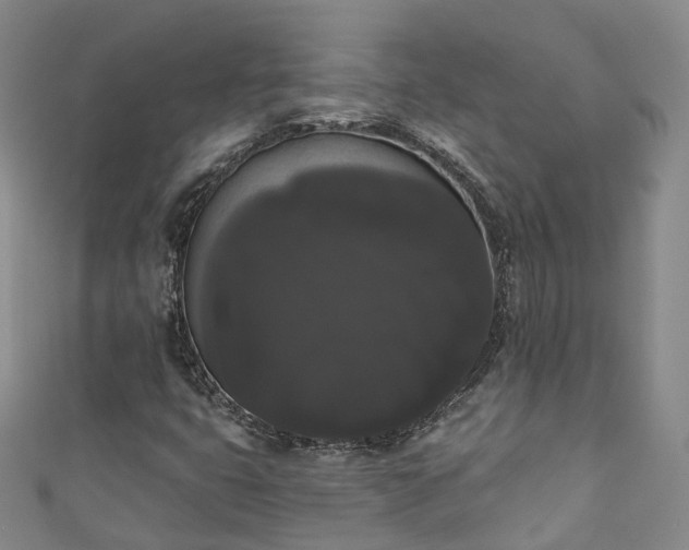 X0000111021399200906261531