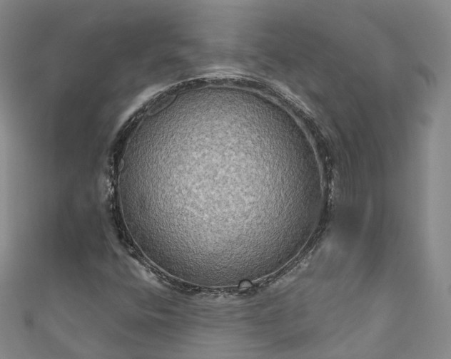 X0000111021400200906261531