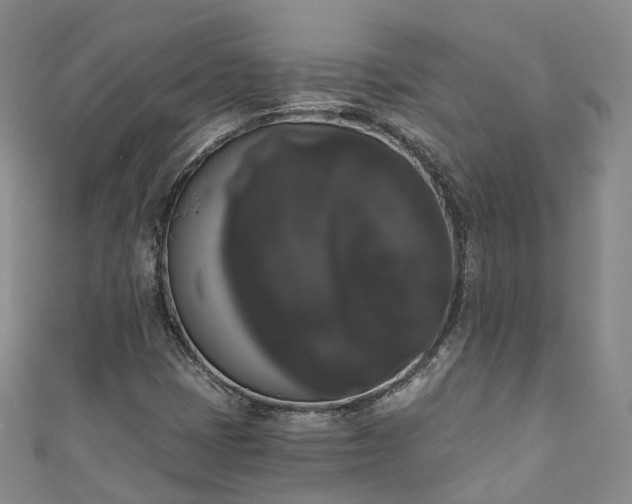 X0000111021401200906261531
