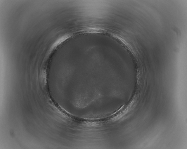 X0000111021402200906261531