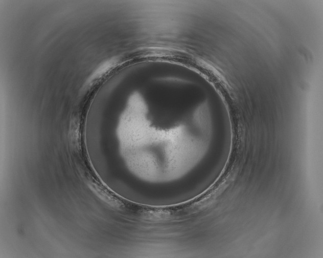 X0000111021403200906261531