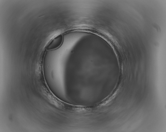X0000111021405200906261531