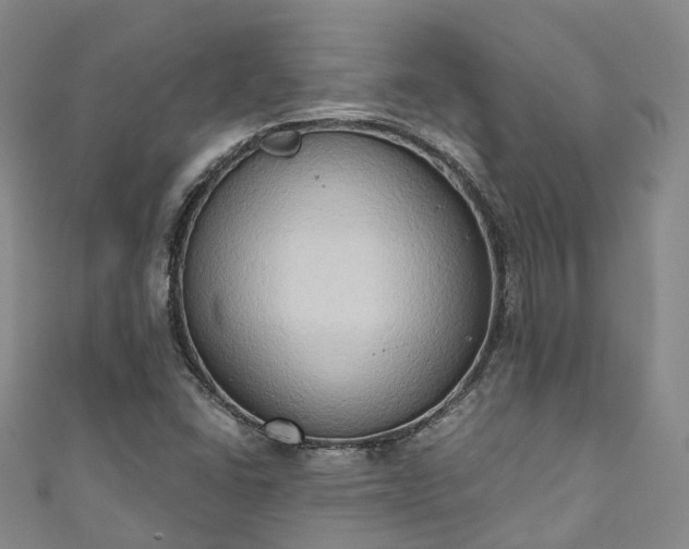 X0000111021406200906261531
