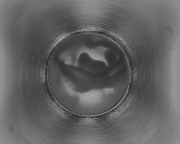 X0000111021409200906261531