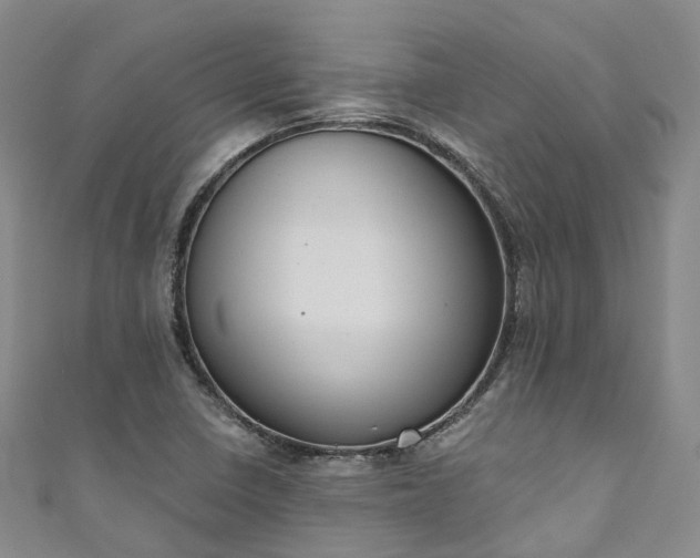 X0000111021410200906261531