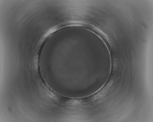 X0000111021411200906261531
