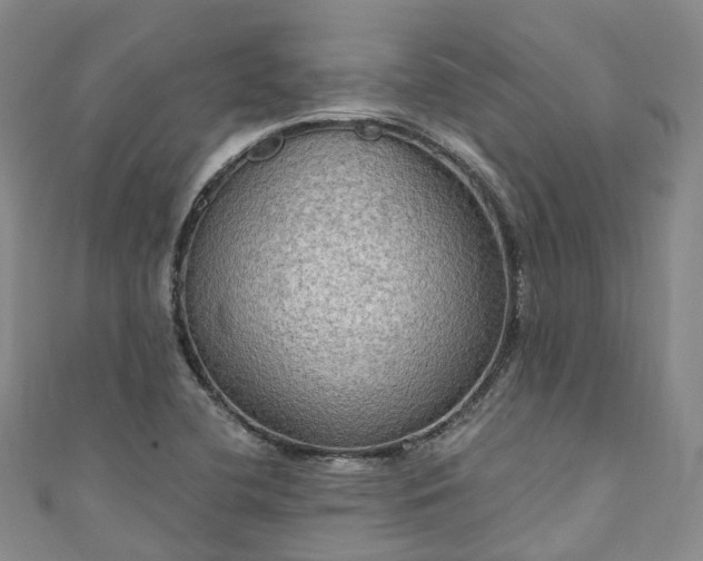 X0000111021412200906261531