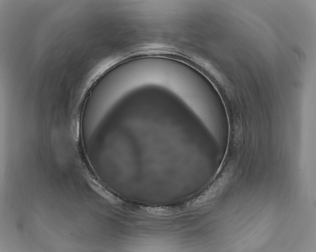 X0000111021413200906261531
