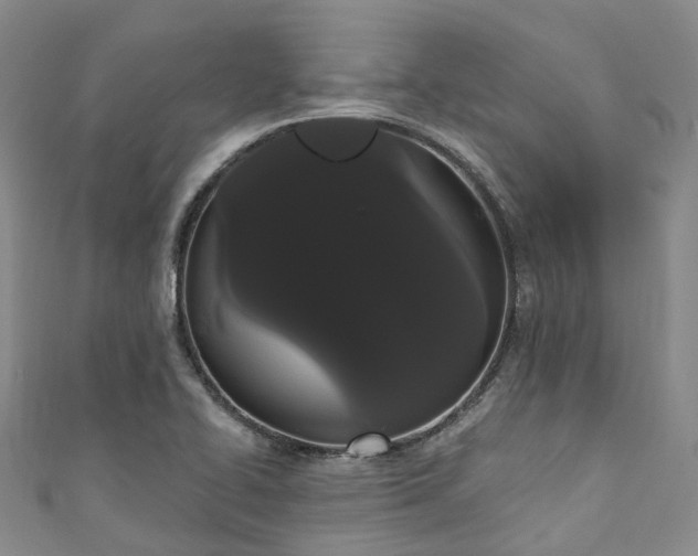 X0000111021414200906261531