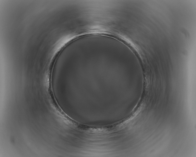 X0000111021415200906261531