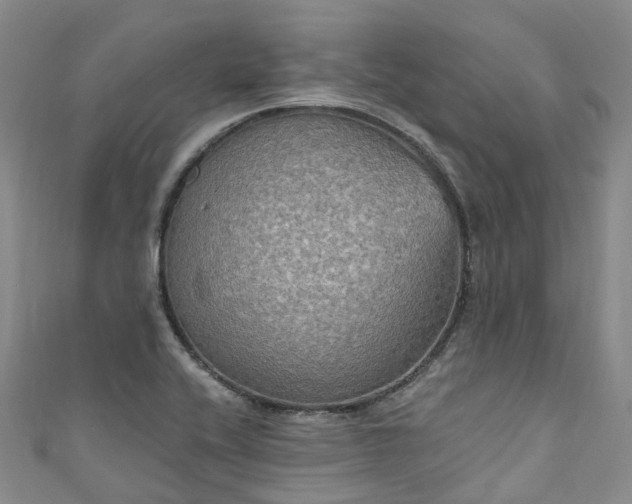 X0000111021416200906261531