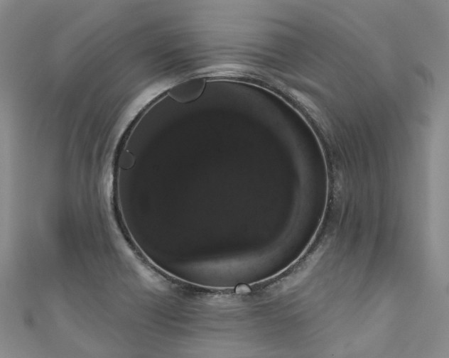 X0000111021418200906261531