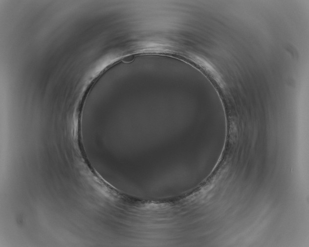 X0000111021419200906261531