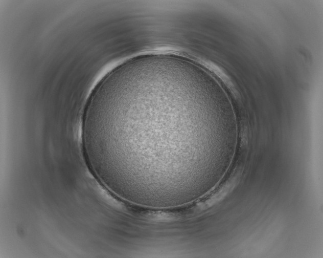 X0000111021420200906261531